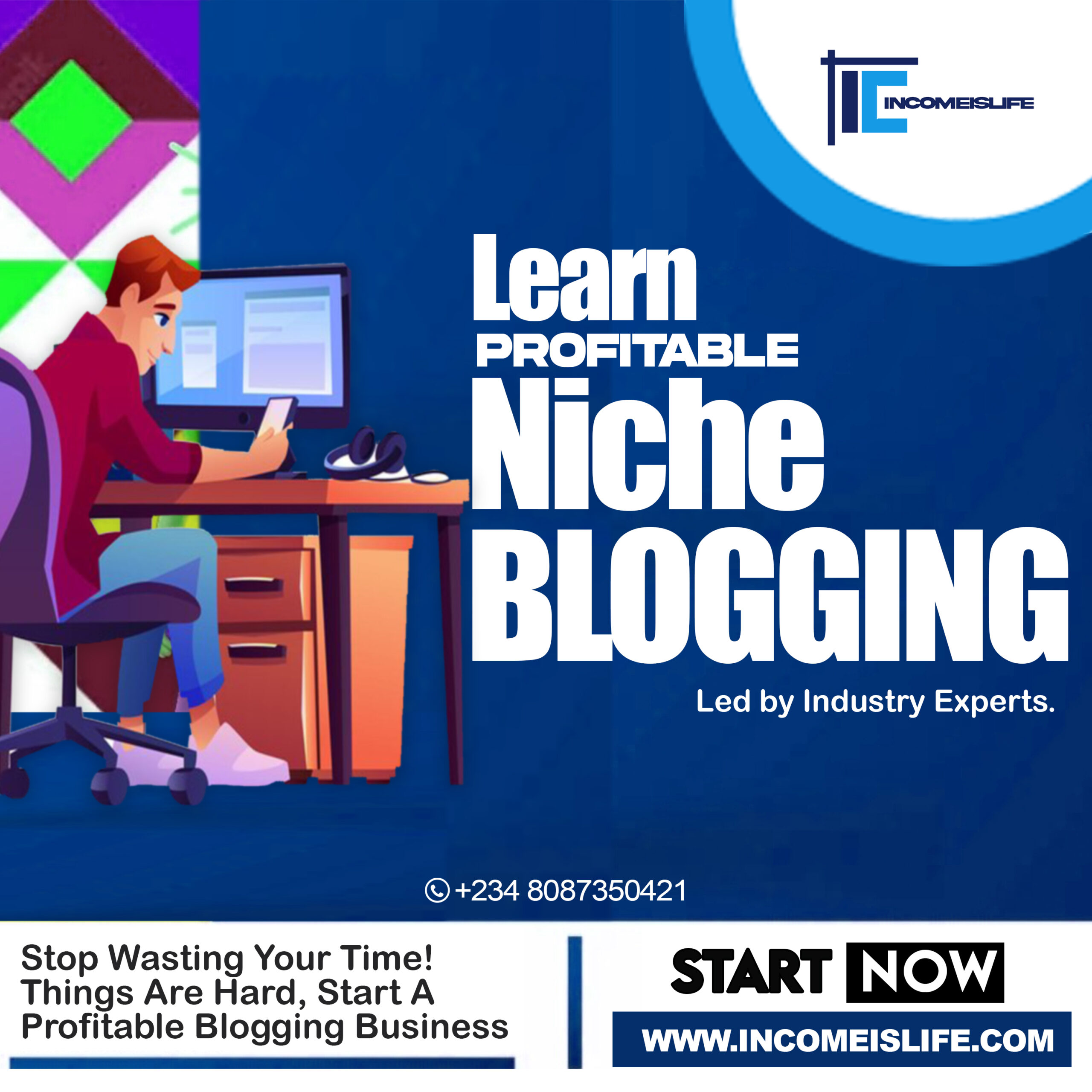 Niche Blogging course