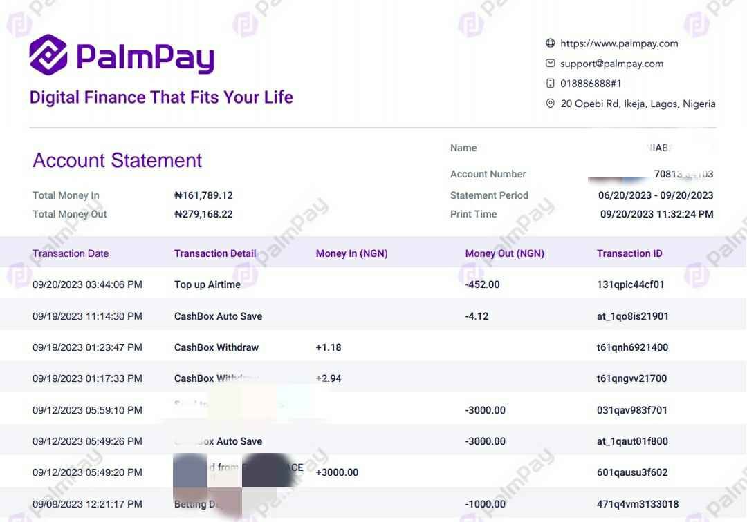 Palmpay Statement Of Account pdf screenshot example