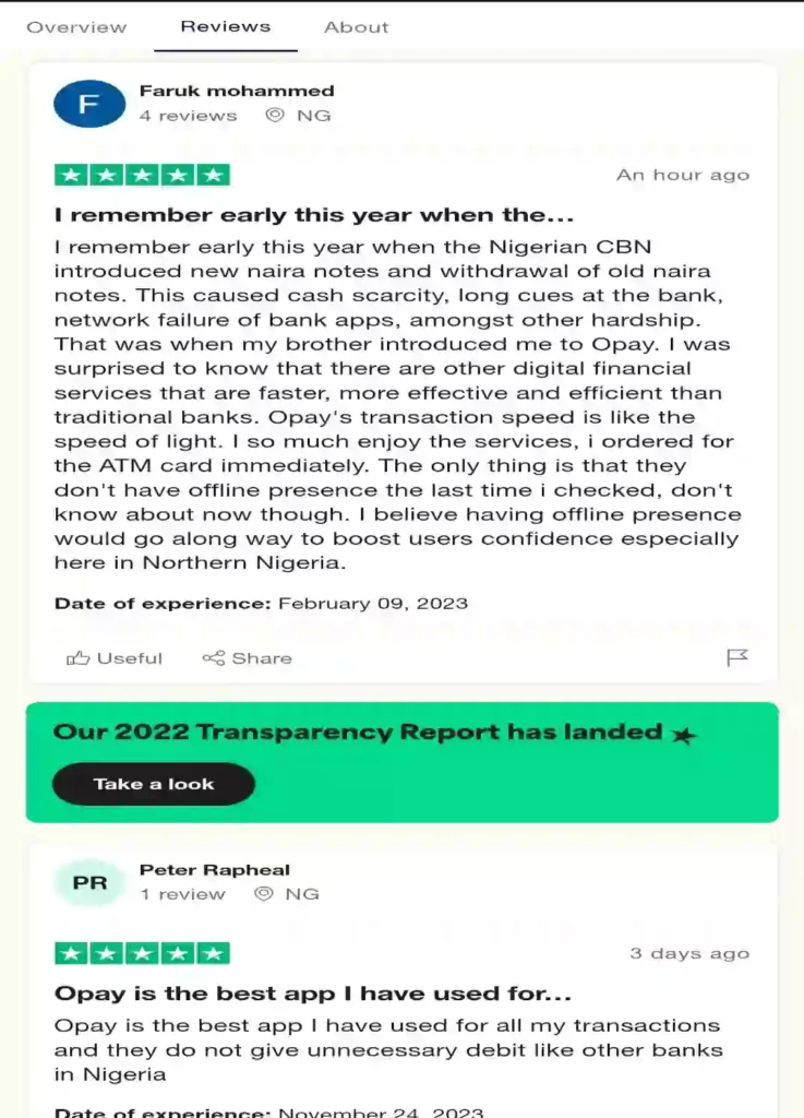 A sample Trustpilot Review page of a business 1